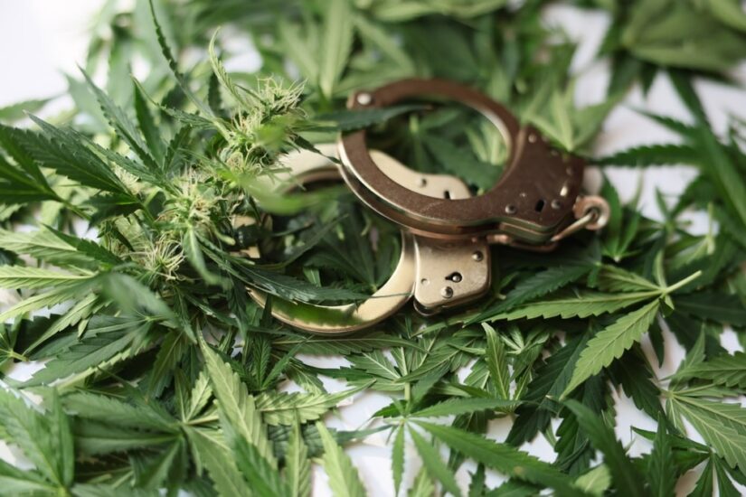 Handcuffs Laying On Fresh Marijuana Leaves