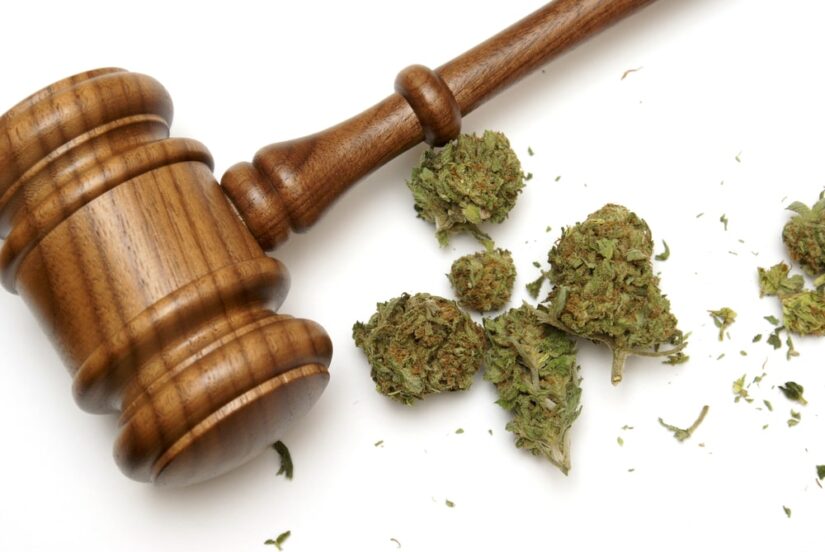 Judges Hammer With Marijuana