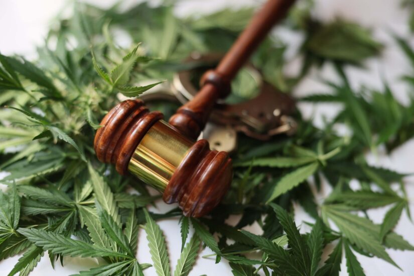 Judge Gavel and handcuffs lying on closed green marijuana leaves