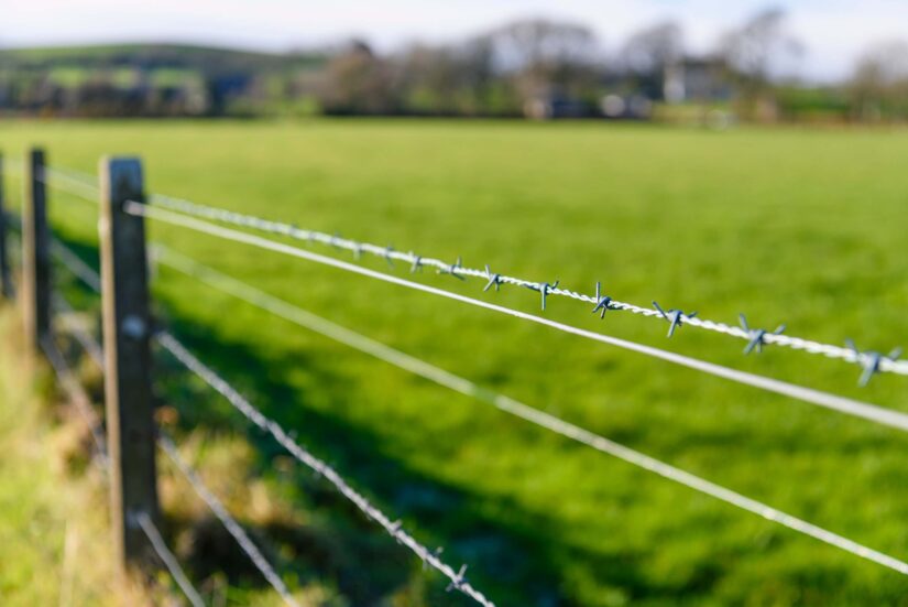 Barbed wire in a field